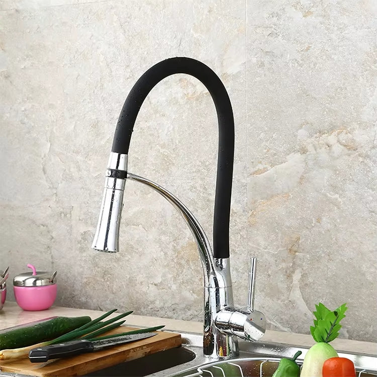 Kitchen Sink Flexible Faucet With Sprayer-Z1901B