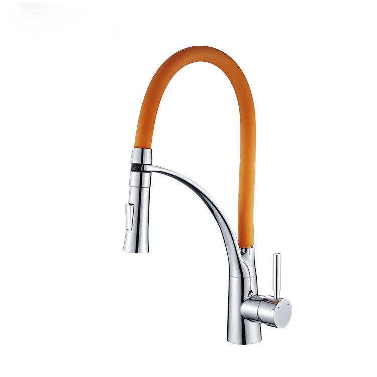 Kitchen Sink Flexible Faucet With Sprayer-Z1901O