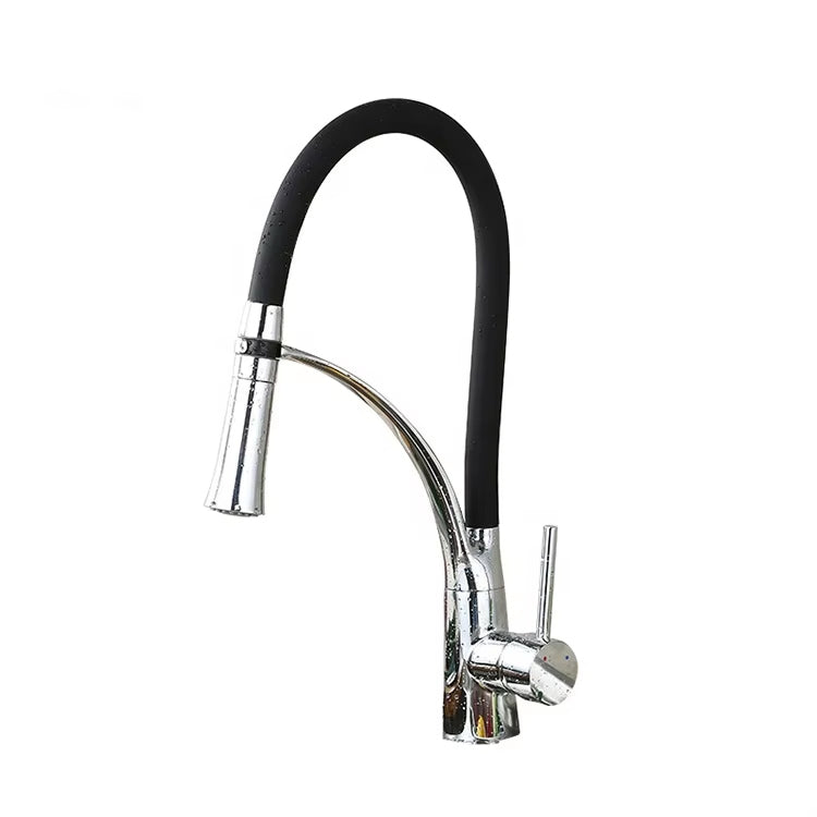 Kitchen Sink Flexible Faucet With Sprayer-Z1901B