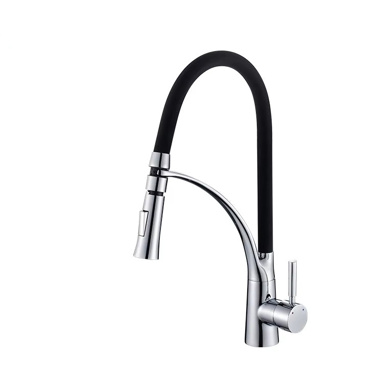 Kitchen Sink Flexible Faucet With Sprayer-Z1901B