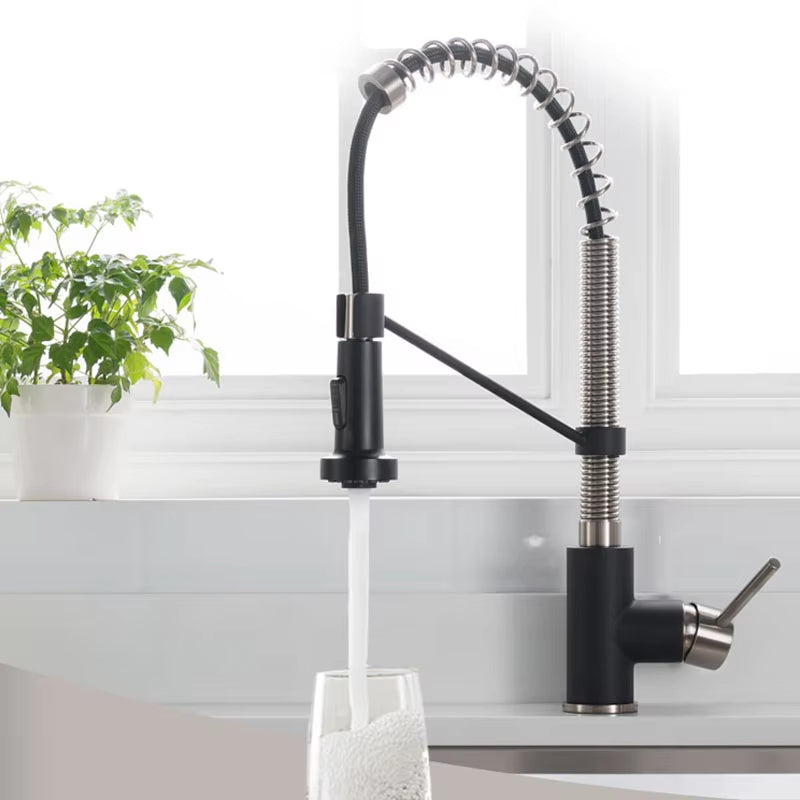 Spring-Type Single-Lever Pull-Out Kitchen Faucet-8538