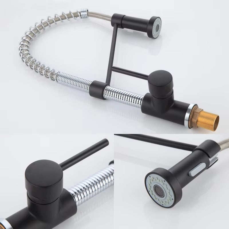 Spring-Type Single-Lever Pull-Out Kitchen Faucet-8538