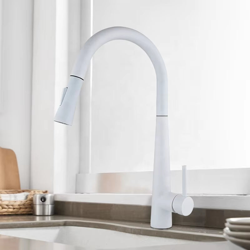 Pull Out Sprayer Stainless Steel Kitchen Sink Faucet-8633MB