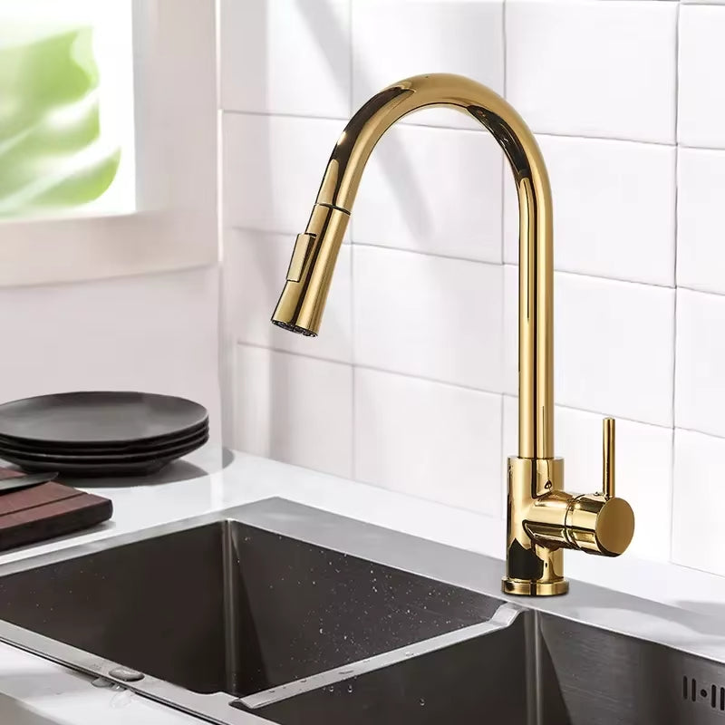 Kitchen Black And Gold Pull-Out Retractable Vegetable And Dishwashing Faucet-5394
