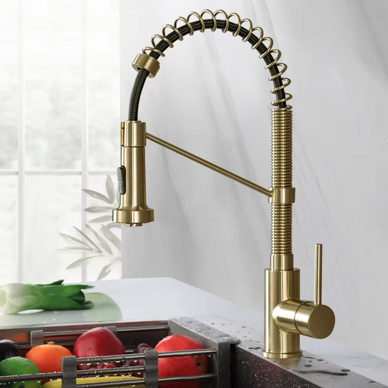 Spring-Type Single-Lever Pull-Out Kitchen Faucet-8538