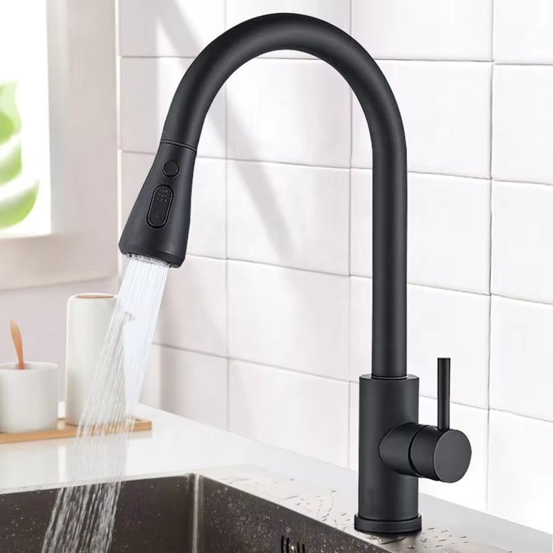 European Kitchen Gold Dual-Use Switch Simple Stainless Steel Faucet-5349G