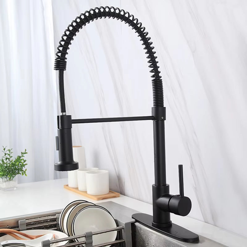 Spring-Loaded Single-Hole Handle 360-Degree Rotating Kitchen Faucet-8560