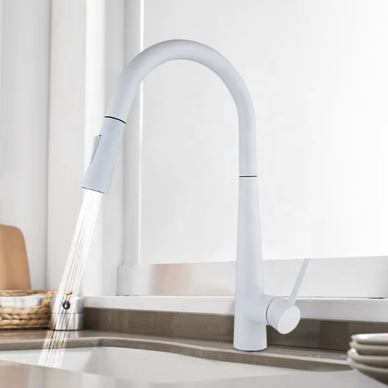 Pull Out Sprayer Stainless Steel Kitchen Sink Faucet-8633MB