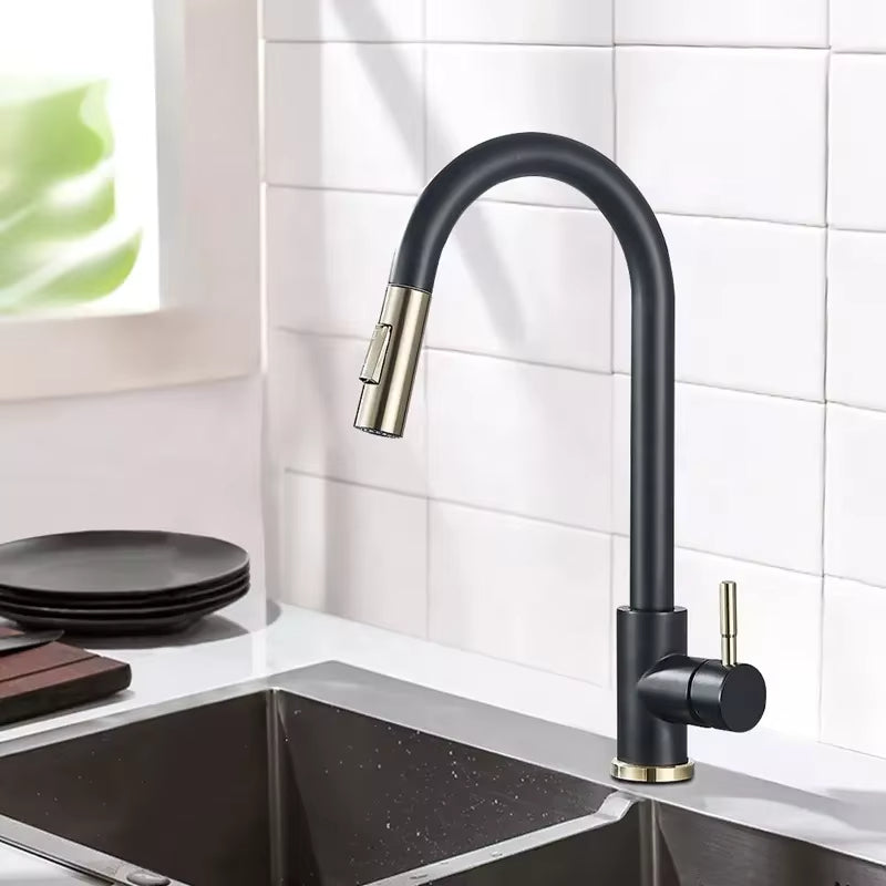 Kitchen Black And Gold Pull-Out Retractable Vegetable And Dishwashing Faucet-5394