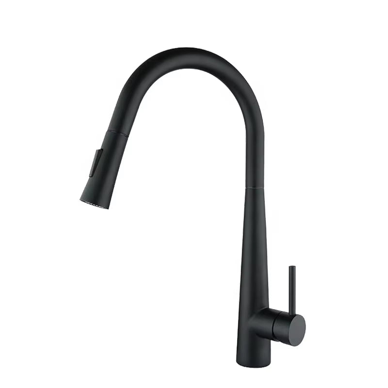 Pull Out Sprayer Stainless Steel Kitchen Sink Faucet-8633MB