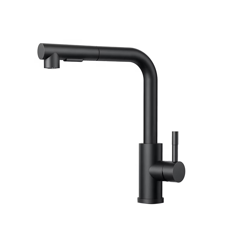 Kitchen Sink Stainless Steel Pull-Out Faucet-7306BG