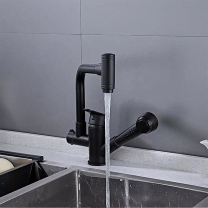 360 Degree Rotating Pull-Out Black Multifunctional Faucet-001