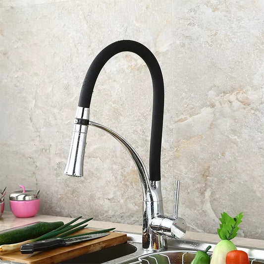 Kitchen Sink Flexible Faucet With Sprayer-Z1901B