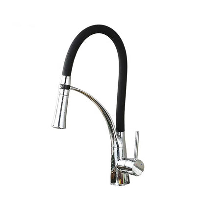 Kitchen Sink Flexible Faucet With Sprayer-Z1901B