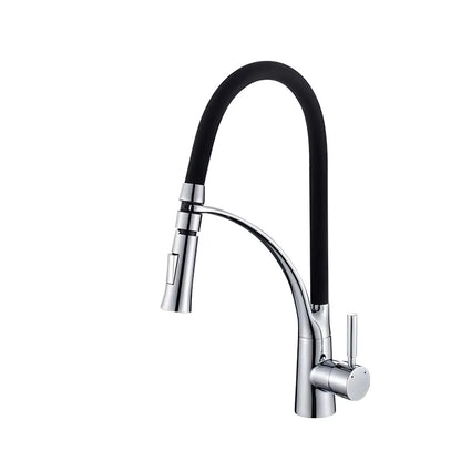 Kitchen Sink Flexible Faucet With Sprayer-Z1901B
