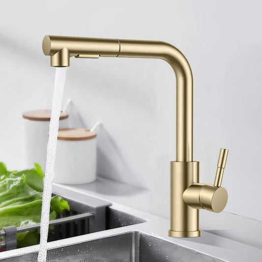 Kitchen Sink Stainless Steel Pull-Out Faucet-7306BG