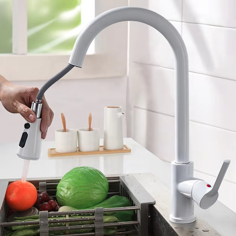 Classic Pull-Out Sprayer Sink Faucet-8600WH