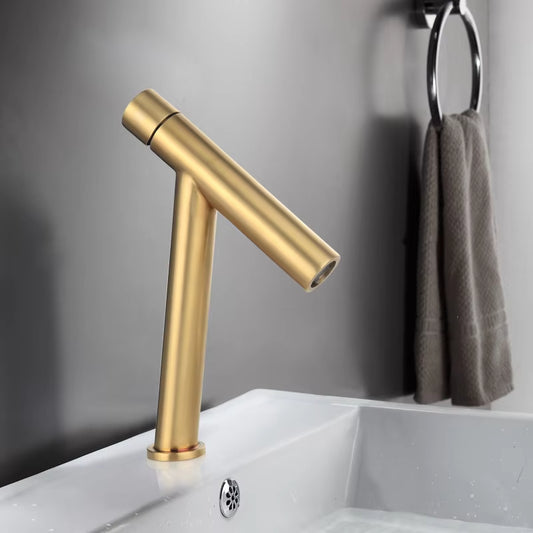 Bathroom Black White Gold Luxury Version Hot And Cold Simple Faucet-5313