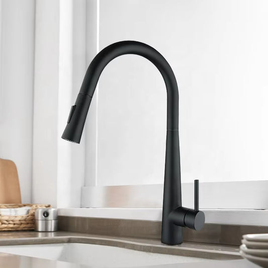 Pull Out Sprayer Stainless Steel Kitchen Sink Faucet-8633MB