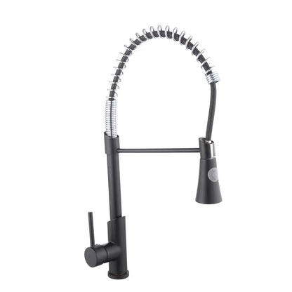 Kitchen Sink Spray Thermostatic Faucet-8363