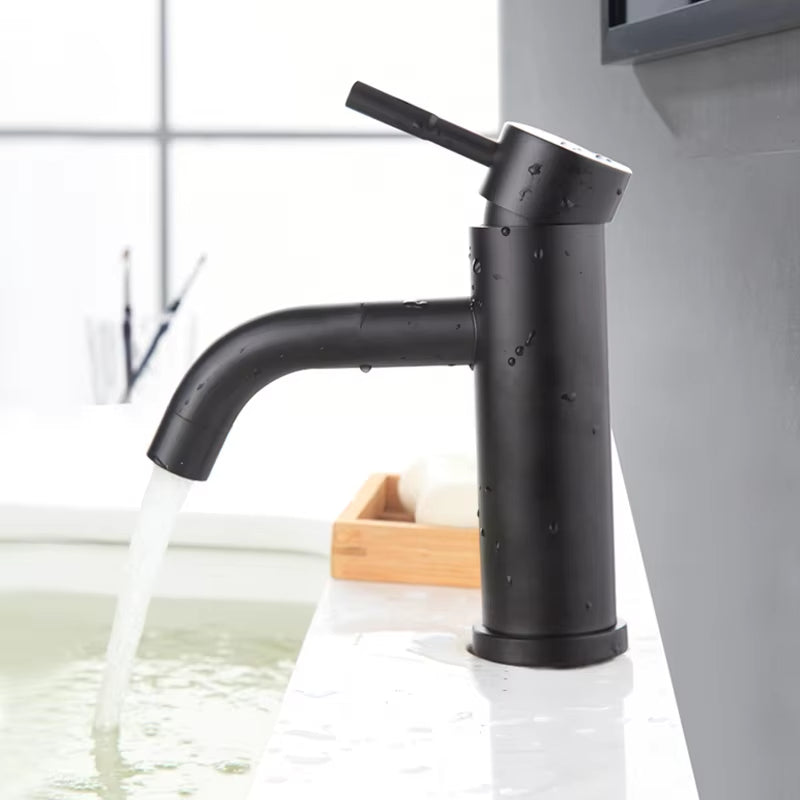 304 Stainless Steel Black Paint Faucet For Washing Face And Hands With Hot And Cold Function-5319