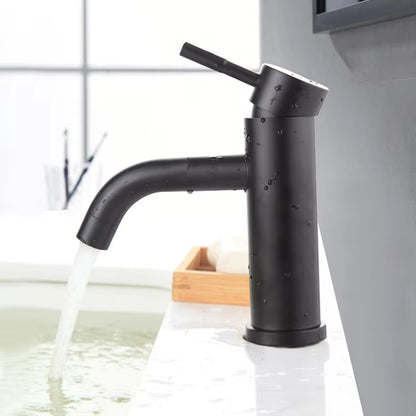 304 Stainless Steel Black Paint Faucet For Washing Face And Hands With Hot And Cold Function-5319