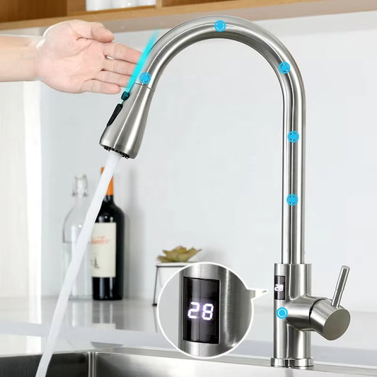Modern Kitchen Pull Out Stainless Steel Sink Touchless Digital Display Faucet-8424DPT