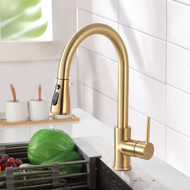 Kitchen Pull-Out Splash-Proof Rotating Vegetable And Dish Washing Switch Dual-Use Faucet-5349