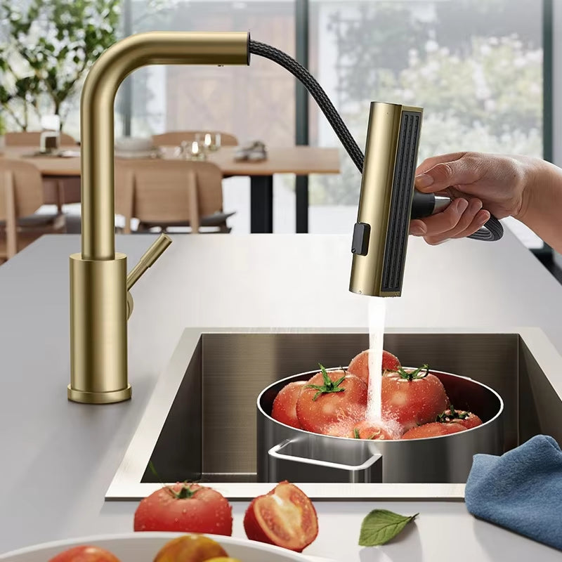 Modern Design Kitchen Sink Stainless Steel Pull Out Faucet-7305BG