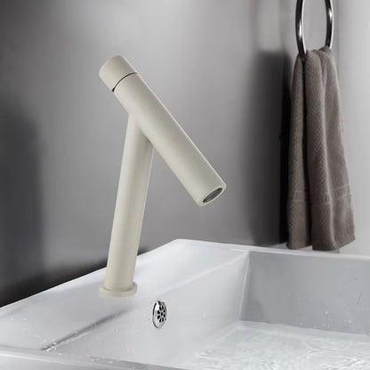 Bathroom Black White Gold Luxury Version Hot And Cold Simple Faucet-5313