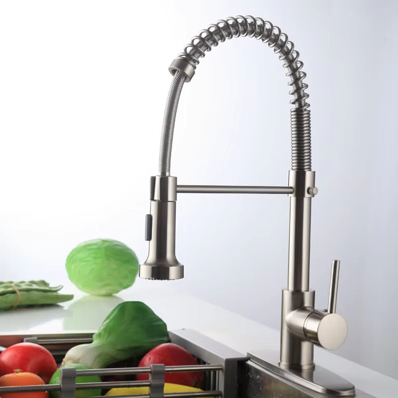 Spring-Loaded Pull-Out Sprayer Kitchen Faucet-8405