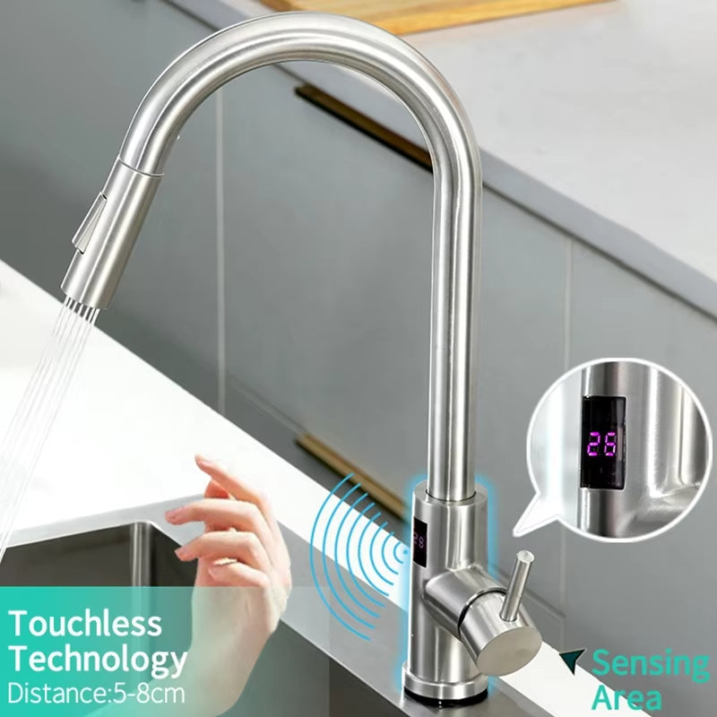 Smart Modern Hot And Cold Water Faucet With Temperature Display Suitable For Kitchen And Bathroom-5343DPS