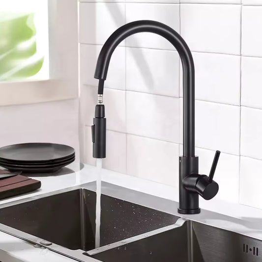 Kitchen Black And Gold Pull-Out Retractable Vegetable And Dishwashing Faucet-5394