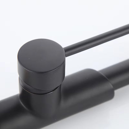 Kitchen Sink Spray Thermostatic Faucet-8363