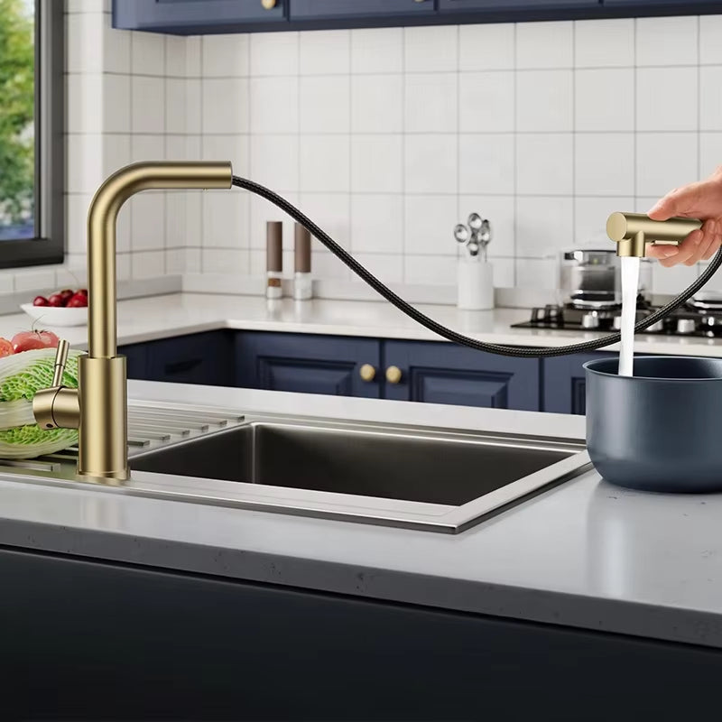 Kitchen Sink Stainless Steel Pull-Out Faucet-7306BG