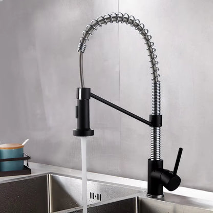 Spring-Type Single-Lever Pull-Out Kitchen Faucet-8538