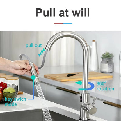 Smart Modern Hot And Cold Water Faucet With Temperature Display Suitable For Kitchen And Bathroom-5343DPS
