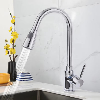 Modern Kitchen Pull Out Stainless Steel Sink Faucet-8424-1