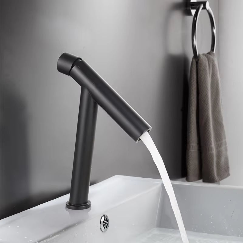 Bathroom Black White Gold Luxury Version Hot And Cold Simple Faucet-5313