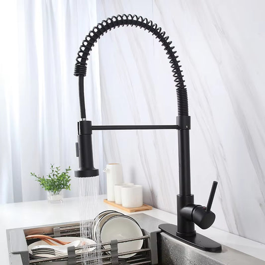 Spring-Loaded Single-Hole Handle 360-Degree Rotating Kitchen Faucet-8560