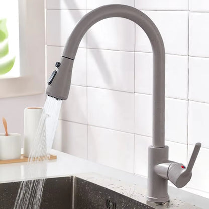Classic Pull-Out Sprayer Sink Faucet-8600WH
