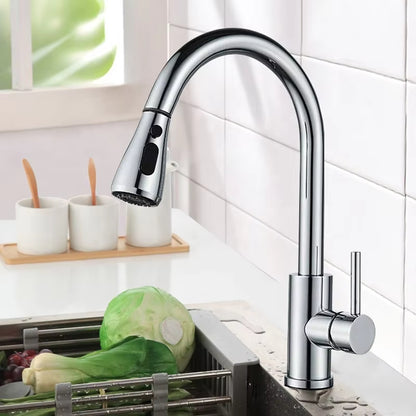 Kitchen Pull-Out Splash-Proof Rotating Vegetable And Dish Washing Switch Dual-Use Faucet-5349
