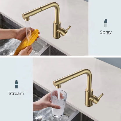 Kitchen Sink Stainless Steel Pull-Out Faucet-7306BG