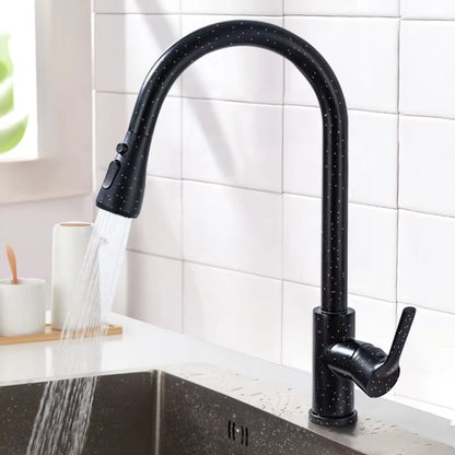 Classic Pull-Out Sprayer Sink Faucet-8600WH