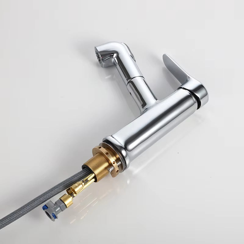 Bathroom Basin Pull-Out Irrigator Sprayer Mouthwashing And Brushing Teeth 2-Mode Faucet-7502