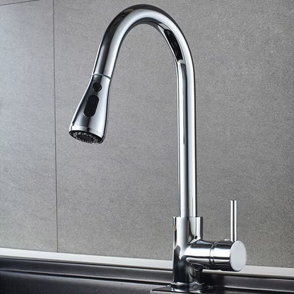 Pull-Out Spout Kitchen Sink Faucet-8548
