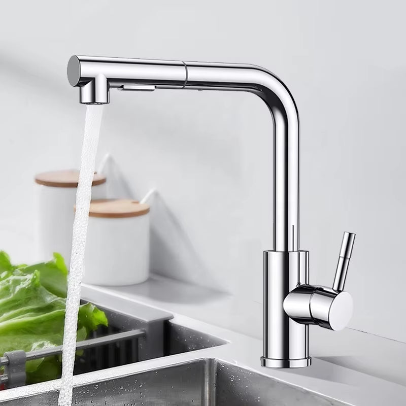 Kitchen Sink Stainless Steel Pull-Out Faucet-7306BG
