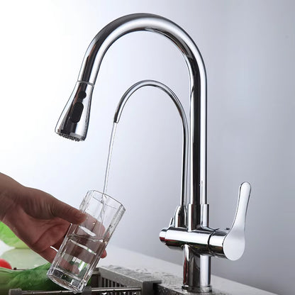 Pull-Out Kitchen Sink Filter Faucet-8334
