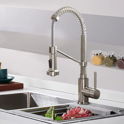 Spring-Type Single-Lever Pull-Out Kitchen Faucet-8538