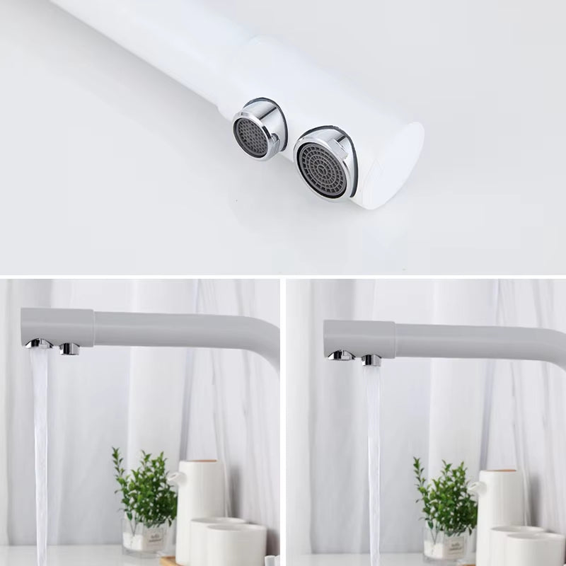 Kitchen Sink Water Purifier Faucet-8593